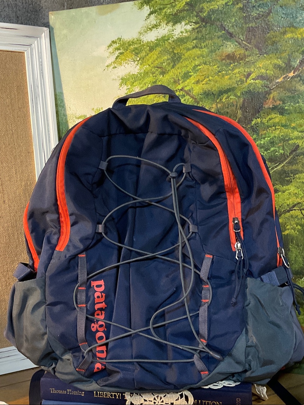Patagonia Navy and Orange Outdoor Bungee Backpack